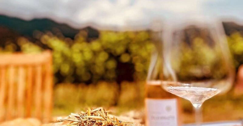 private-wine-tour-around-ile-rousse-calvi-with-transport