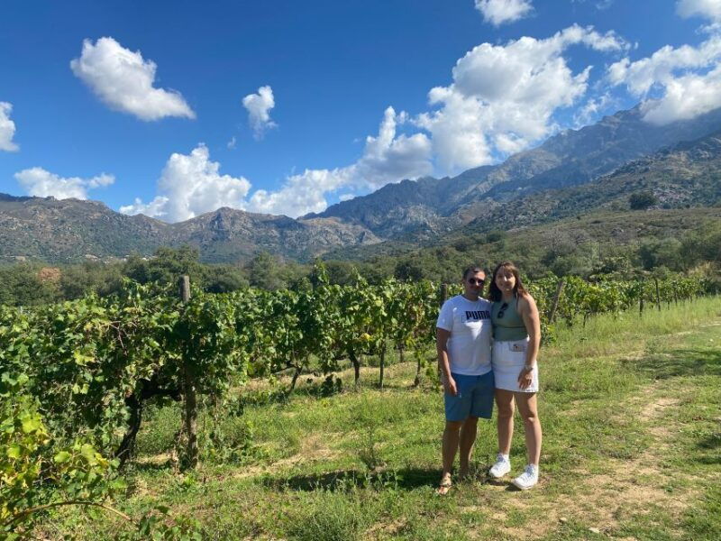 private-wine-tour-around-ile-rousse-calvi-with-transport