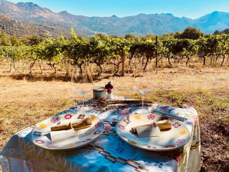 private-wine-tour-around-ile-rousse-calvi-with-transport