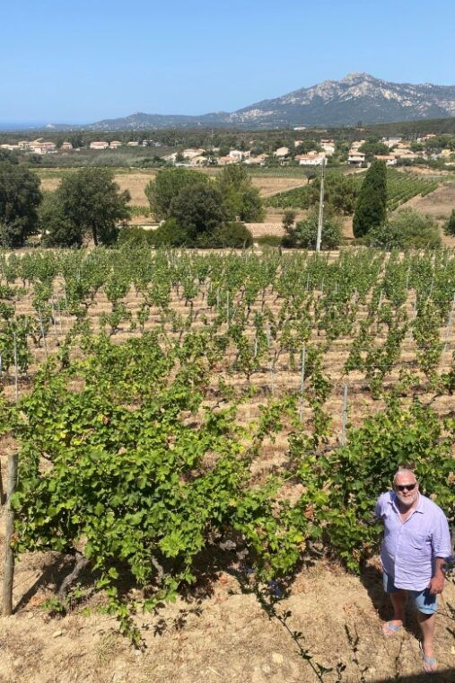 private-wine-tour-around-ile-rousse-calvi-with-transport