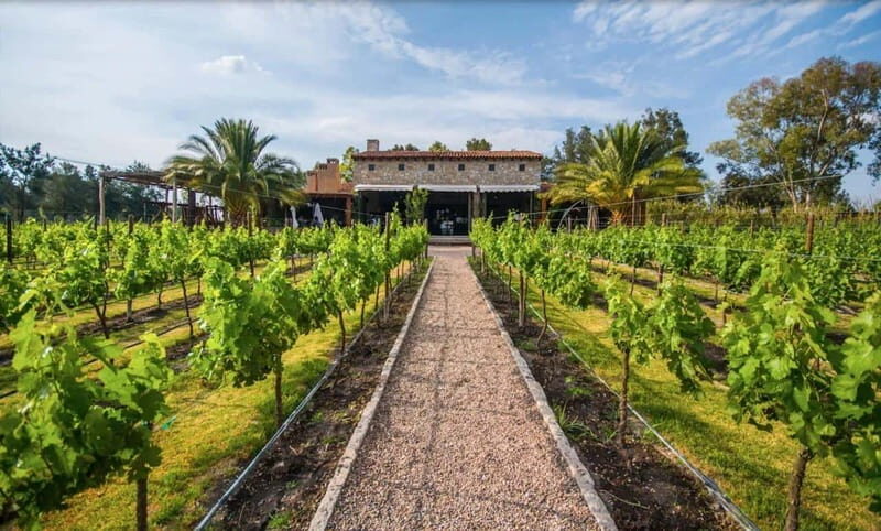 Private Wine Tour from Guanajuato City - Introduction: Why This Tour Stands Out