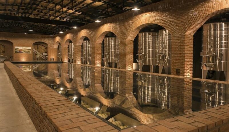 Private Wine Tour from Guanajuato City - The Sum Up