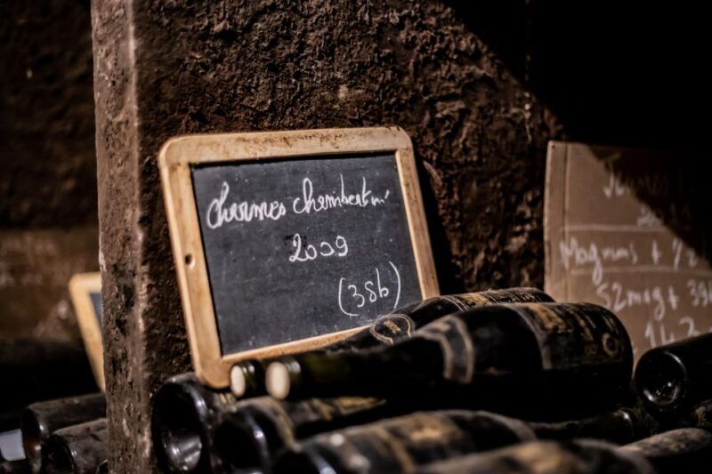 private-wine-tour-in-cote-de-nuits-and-cote-de-beaune