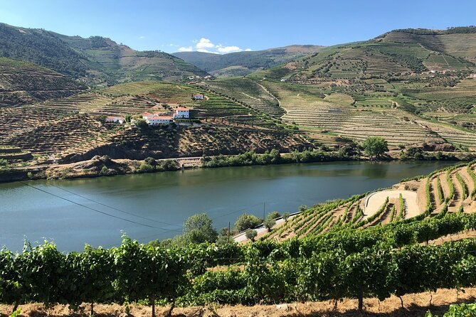 private-wine-tour-in-the-douro-valley-private-wine-tastings-and-lunch-included