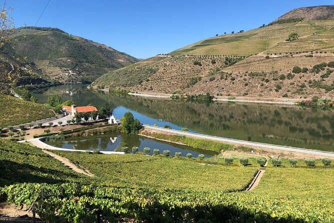 private-wine-tour-in-the-douro-valley-private-wine-tastings-and-lunch-included