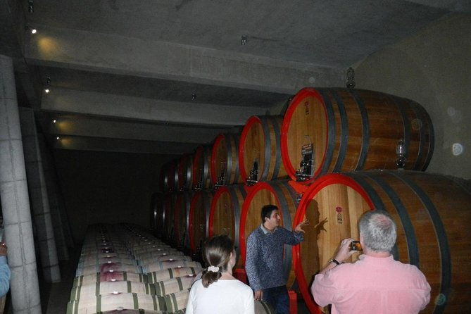 private-wine-tour-in-valparaiso