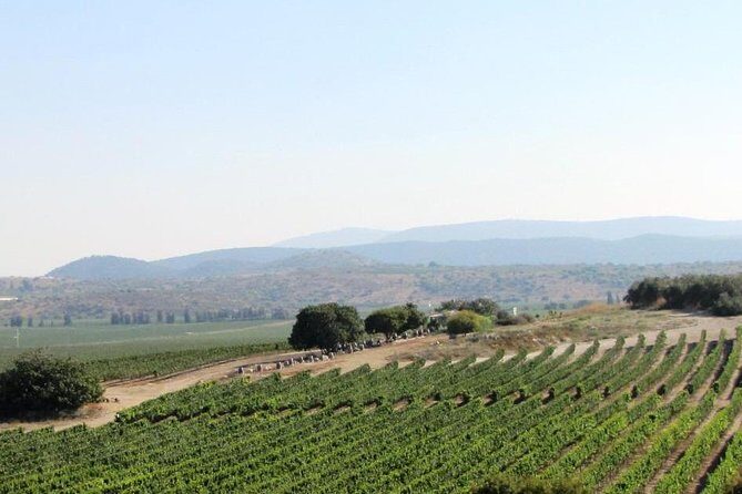 Private wine tour of Northern Israel - Key Points