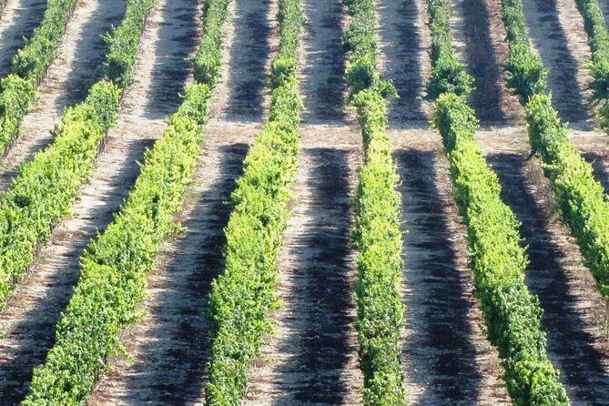 Private wine tour of Northern Israel - FAQ