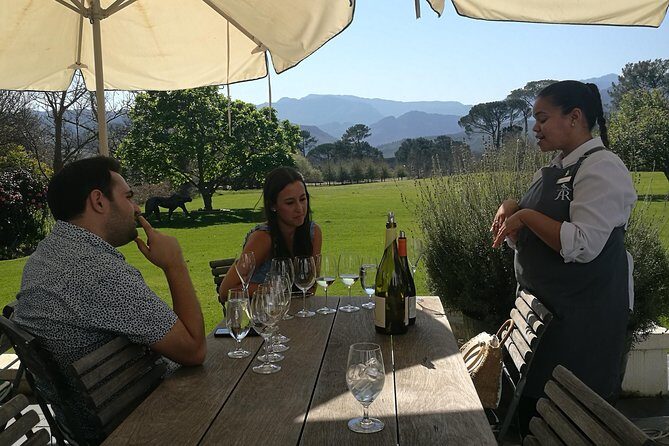 Private Wine Tour of Stellenbosch, Franschhoek and Paarl - Wine Tasting and Wineries