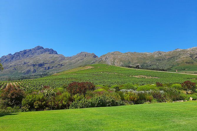 Private Wine Tour of Stellenbosch, Franschhoek and Paarl - Pricing and Value