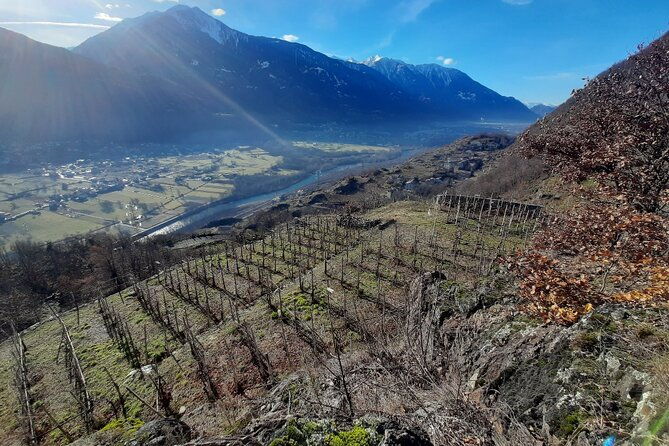 private-wine-tour-terraced-vineyards-with-alpine-view-from-milan