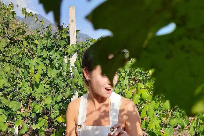 private-wine-tour-terraced-vineyards-with-alpine-view-from-milan