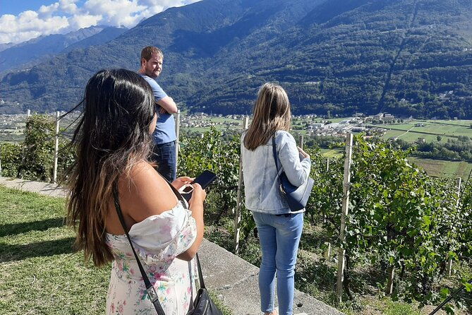 private-wine-tour-terraced-vineyards-with-alpine-view-from-milan