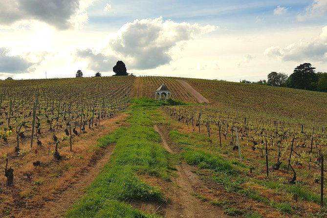 private-wine-tour-to-champagne-region-from-paris-2