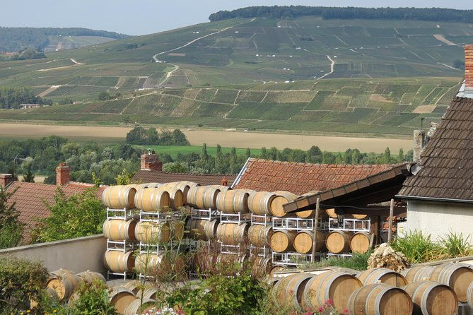 private-wine-tour-to-champagne-region-from-paris