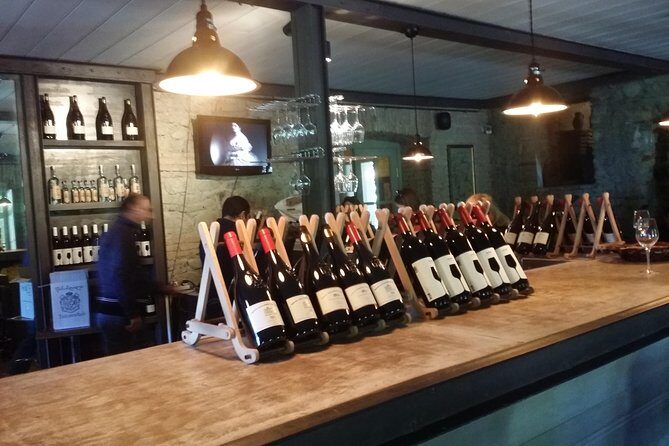 Private Wine Tour to Kakheti from Tbilisi - A Comprehensive Look at the Kakheti Private Wine Tour