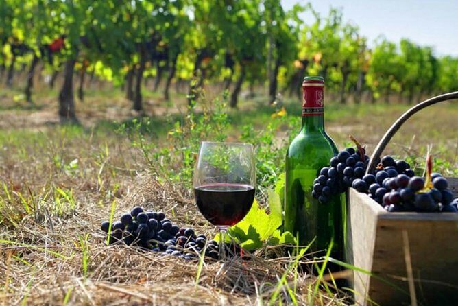 Private wine tour to Khor Virap, Areni winery, Noravank - Discover Armenia’s Christian Heritage and Vineyards in a Private Tour