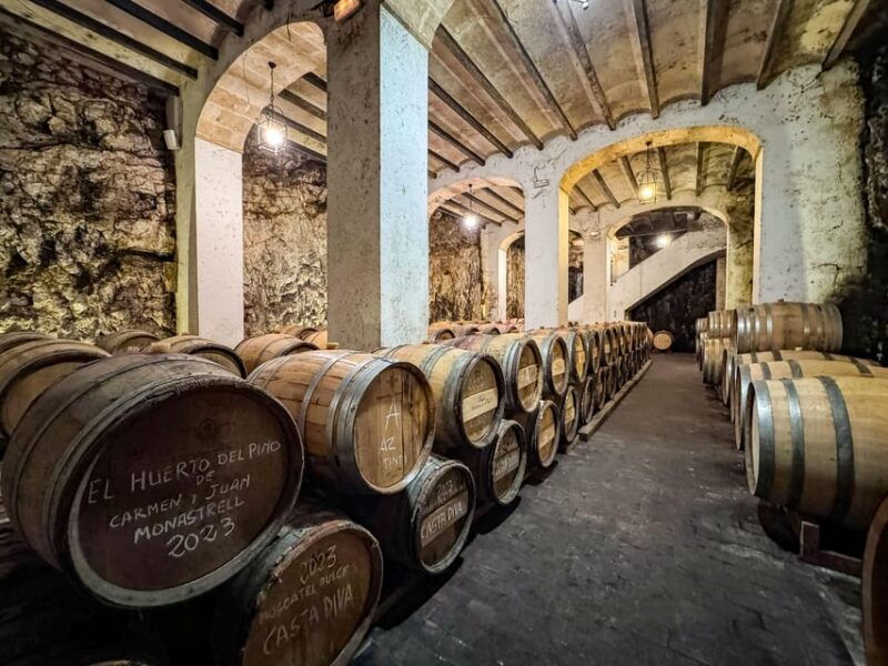 private-wine-tour-to-the-costa-blanca-wineries