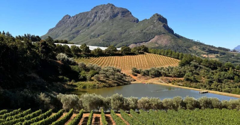 Private Wine Tour: Visit Stellenbosch, Franschhoek &Paarl - A Deep Dive into the Cape Winelands Private Tour