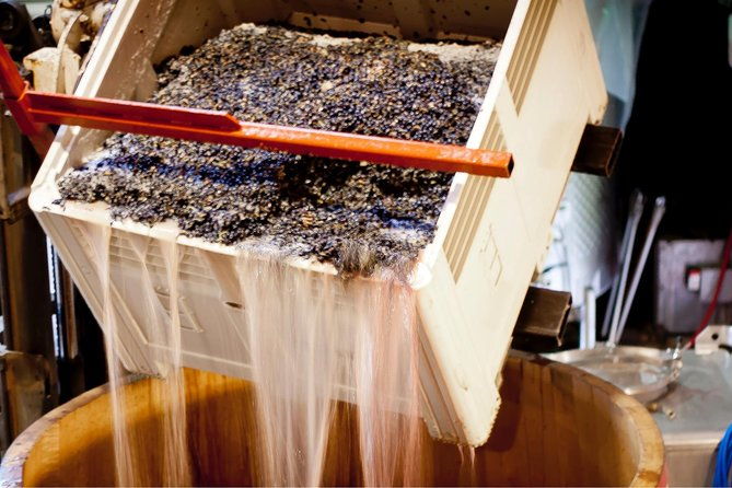 private-wine-tour-with-tastings-from-eugene-2