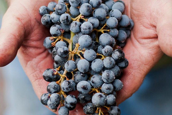 private-wine-tour-with-tastings-from-eugene-2