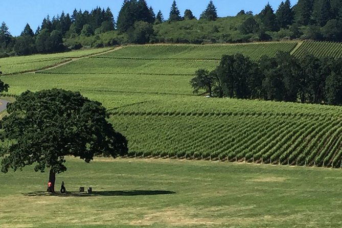 private-wine-tour-with-tastings-from-eugene-2