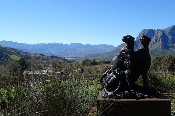 Private Wine Tour with Wine Expert to Stellenbosch-Franschhoek Wine Regions - The Itinerary: A Closer Look