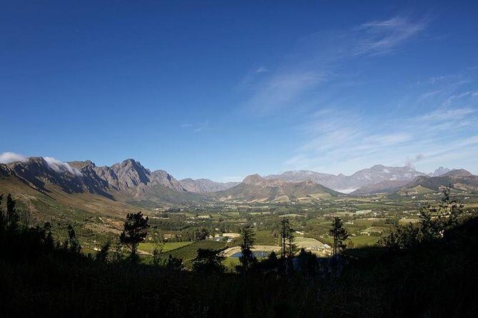 Private Wine Tour with Wine Expert to Stellenbosch-Franschhoek Wine Regions - Value for Money