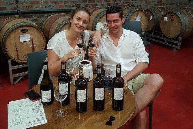 Private Wine Tour with Wine Expert to Stellenbosch-Franschhoek Wine Regions - Who Will Love This Tour?