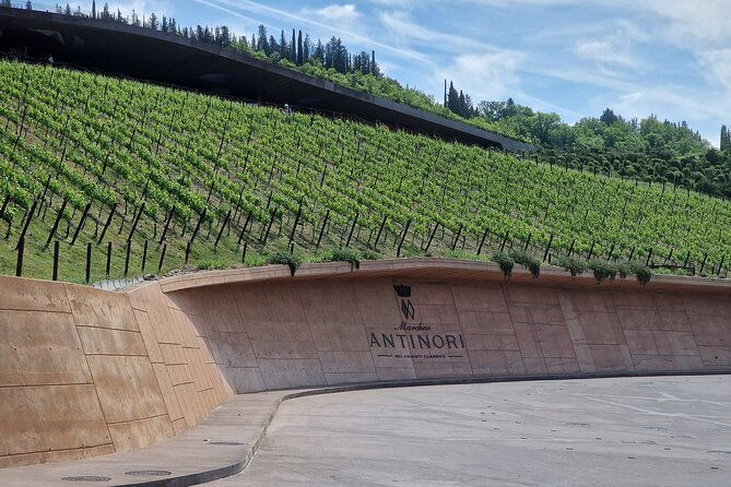 private-wine-tours-vip-wines-and-wineries-of-chianti-classico