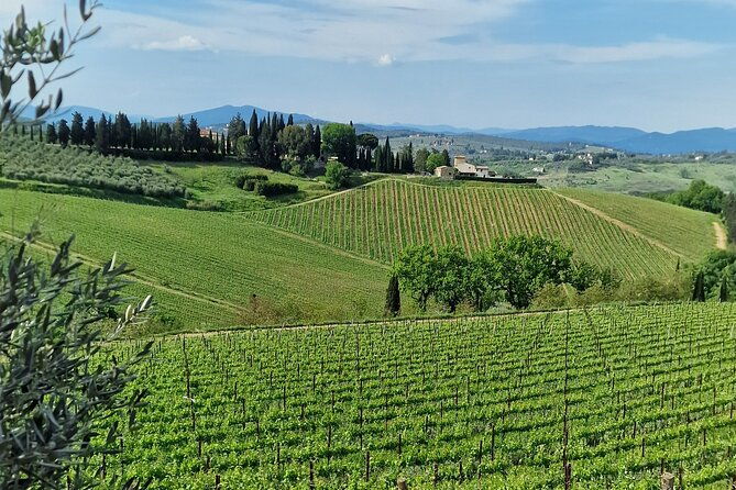 private-wine-tours-vip-wines-and-wineries-of-chianti-classico