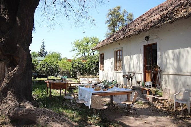 private-wine-trekking-tour-including-chilean-country-grill
