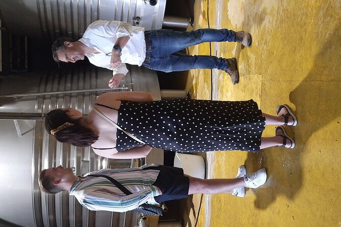 private-winery-and-lunch-experience-an-hour-from-madrid