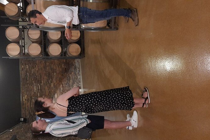 private-winery-and-lunch-experience-an-hour-from-madrid