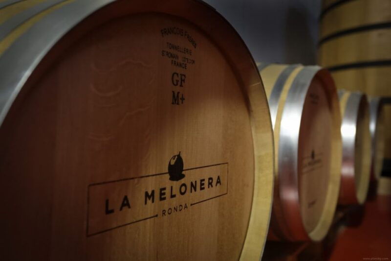 private-winery-tour-and-visit-to-ronda