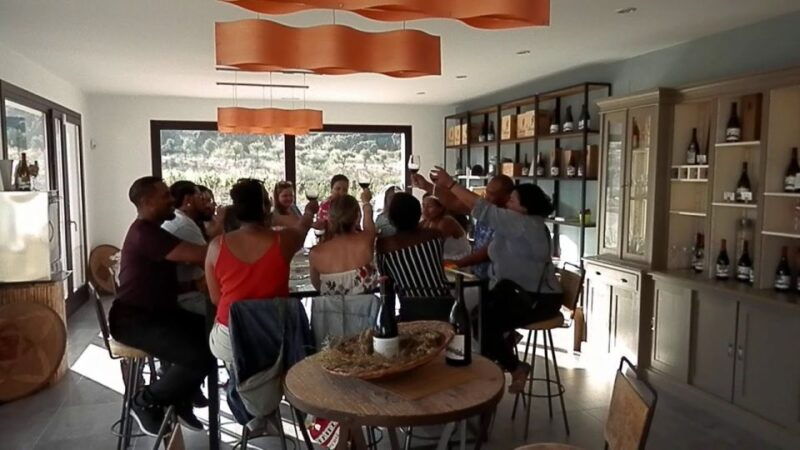 private-winery-tour-and-visit-to-ronda