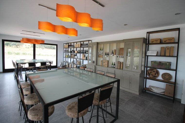private-winery-tour-and-visit-to-ronda