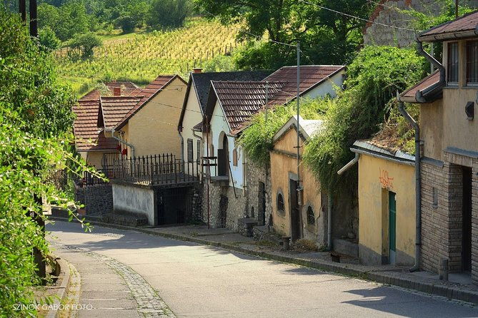 private-winetasting-and-sightseeing-tour-to-eger-home-to-bulls-blood-wine