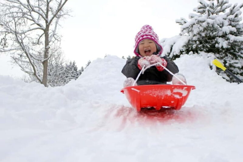 Private Winter Togakushi Tour: Snow, Shrine, & Cedar Trees - Discovering the Private Winter Togakushi Tour: Snow, Shrine & Cedar Trees