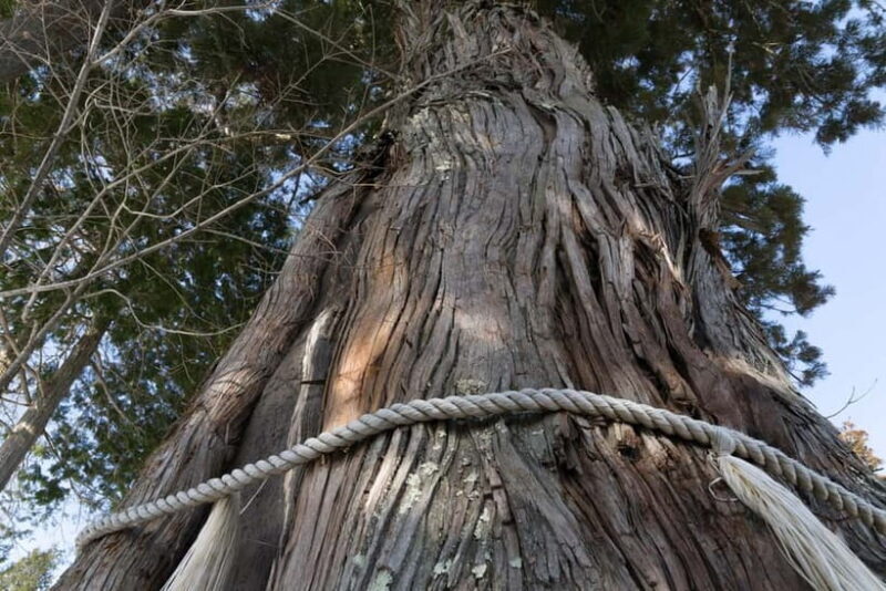 Private Winter Togakushi Tour: Snow, Shrine, & Cedar Trees - The Itinerary Breakdown: A Closer Look