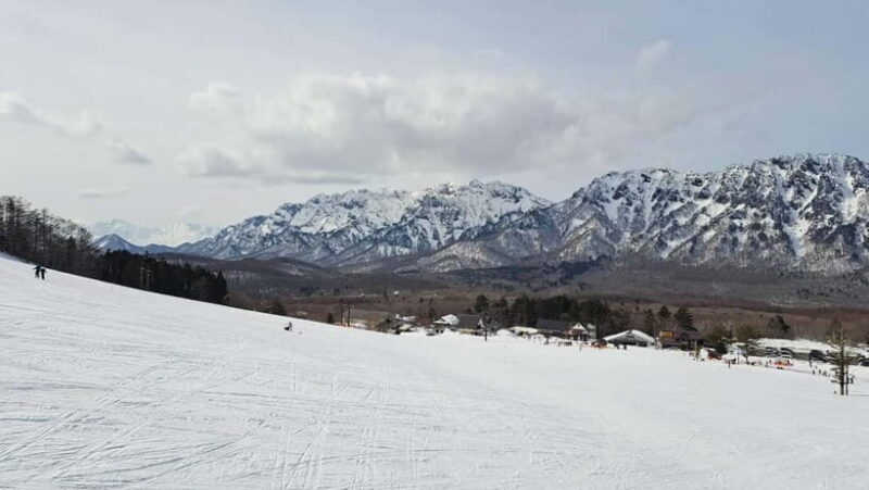 Private Winter Togakushi Tour: Snow, Shrine, & Cedar Trees - Who Should Consider This Tour?