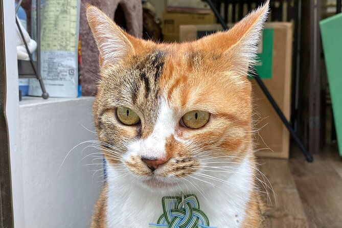 private-workshop-of-handmade-traditional-japanese-paper-in-tokyo