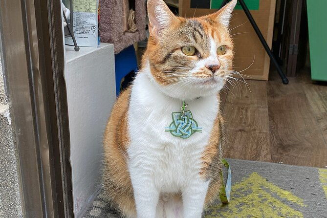 private-workshop-of-handmade-traditional-japanese-paper-in-tokyo