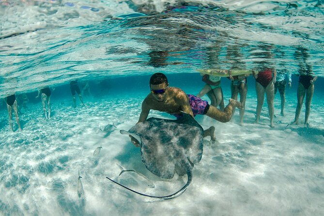private-yacht-48-ft-sting-ray-city-snorkel-starfish-beach
