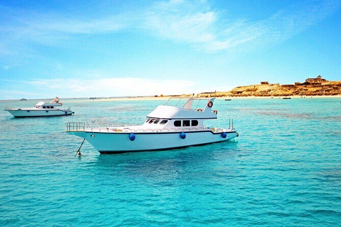 Private Yacht Cruise to Dolphin House with Lunch : Hurghada - An Authentic Look at the Experience