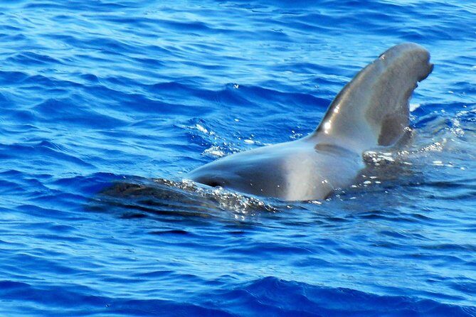 Private Yacht Excursion from Puerto Colon 3 hours - Detailed Itinerary Breakdown