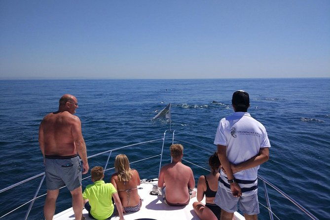 private-yacht-hire-in-the-algarve-majestic