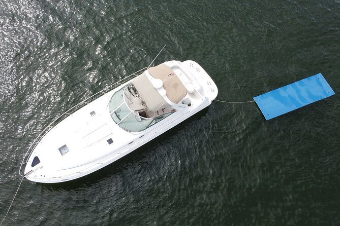 private-yacht-rental-miami-customizable-tours-dolphin-watching