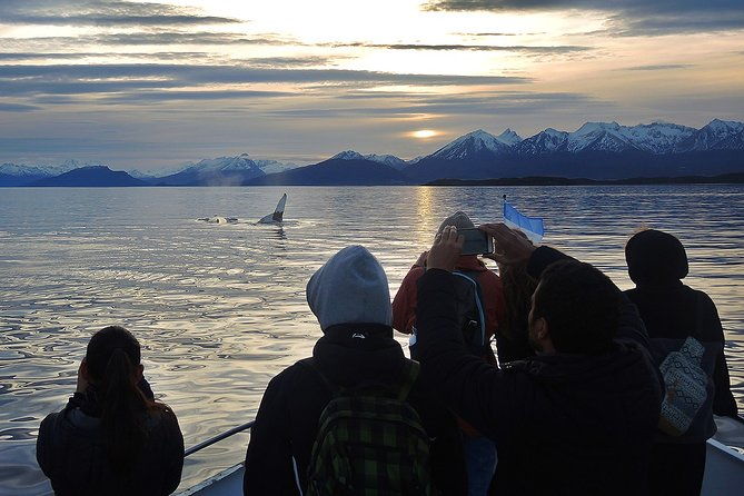 private-yacht-sailing-on-the-beagle-channel