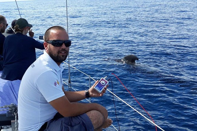 private-yacht-tour-with-whale-and-dolphin-watching-42-foot-boat